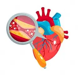 jantung koroner dan jantung bengkak dapat diobati Gravistro