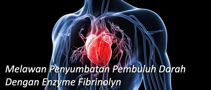 enzim fibrinolyn penyakit kardiovaskular