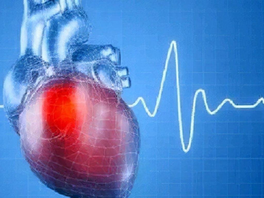 detak jantung normal manusia