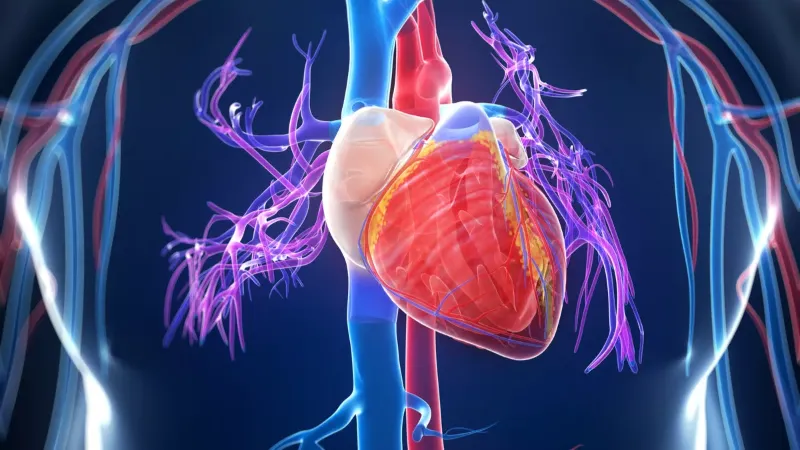 penyebab penyumbatan jantung dan cara mengobati pembengkakan jantung